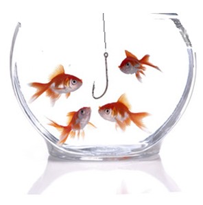 Marketing Fishbowl