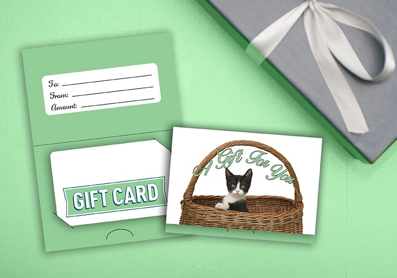 Cat in a Basket Generic Gift Card Holders