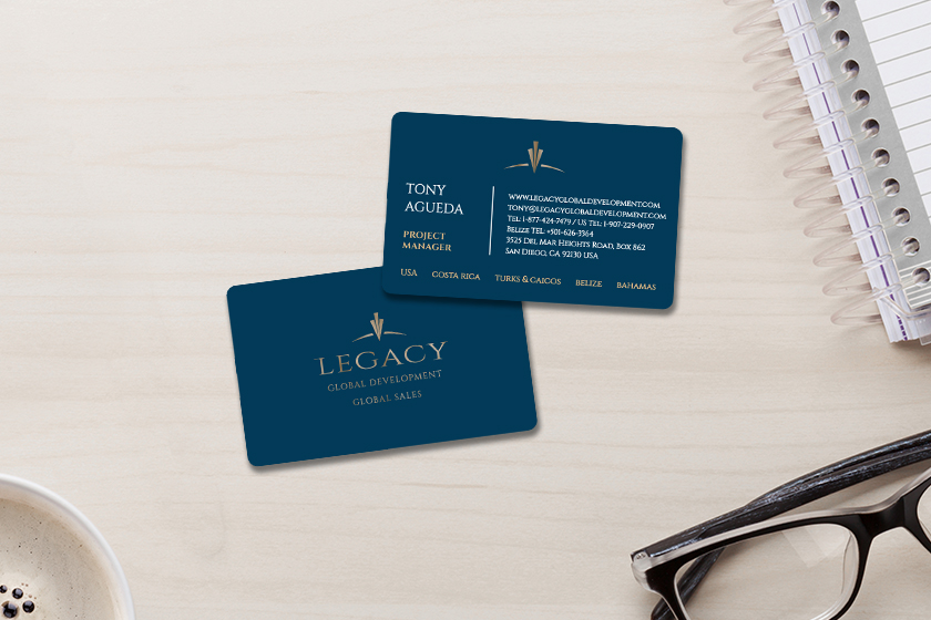 Legacy Global Development Global Sales Business Cards