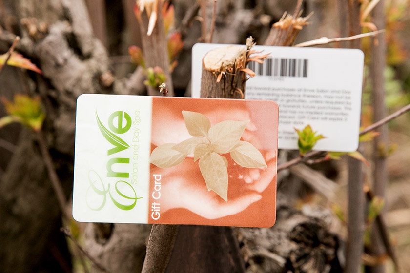 enve-salon-and-day-spa-gift-cards