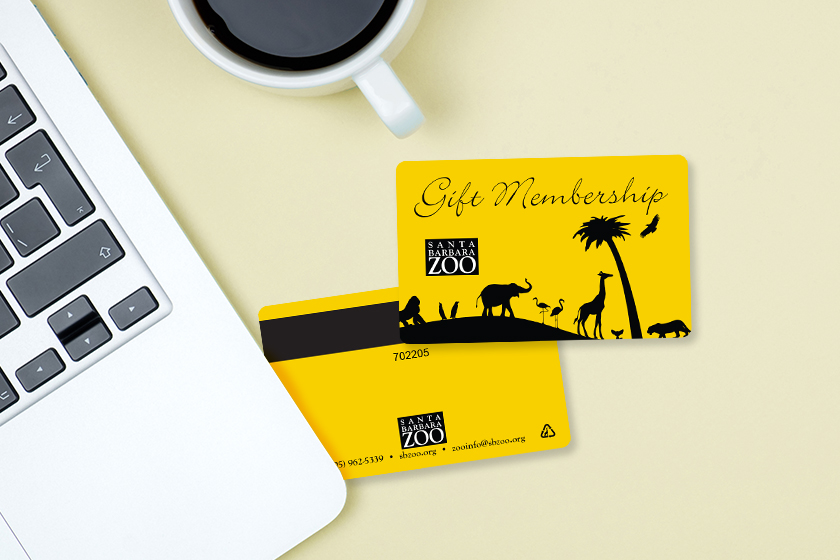 Santa Barbara Zoo Gift Membership Cards