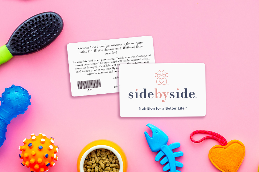 Pet Assesment & Wellness Side by Side Gift Cards