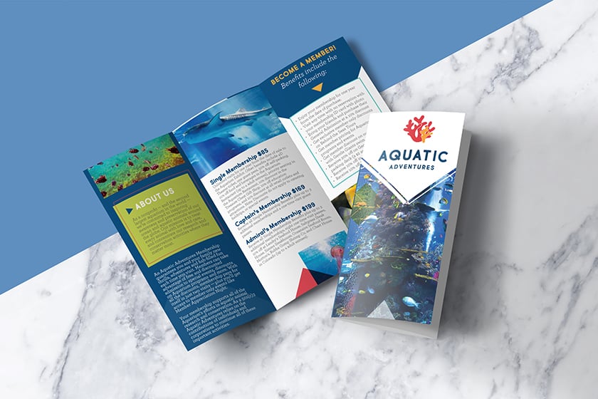 Aquatic Adventures Informational Brochure